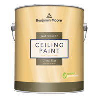 Ceiling paint can